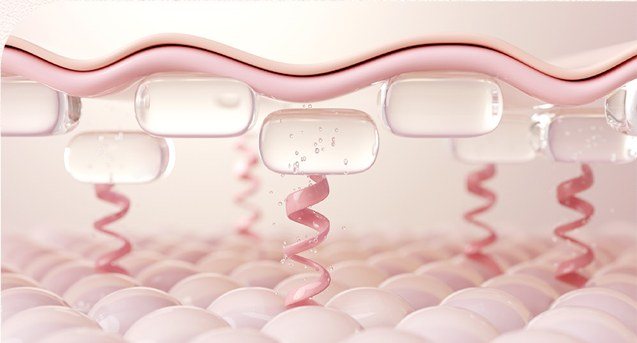 콜라겐 재생 및 지지 구조를 나타낸 3D 피부 구조 일러스트